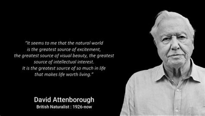 Discover The Extraordinary Wealth And Impact Of David Attenborough